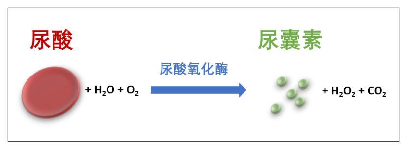 等了16年"抗癌新药"法舒克终于在国内上市!