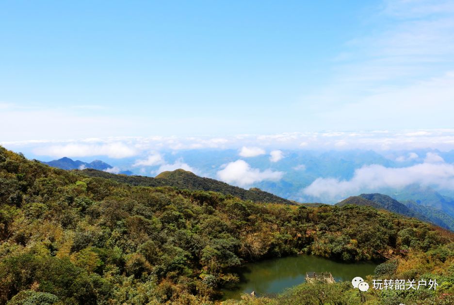 岳阳市天井山森林公园图片