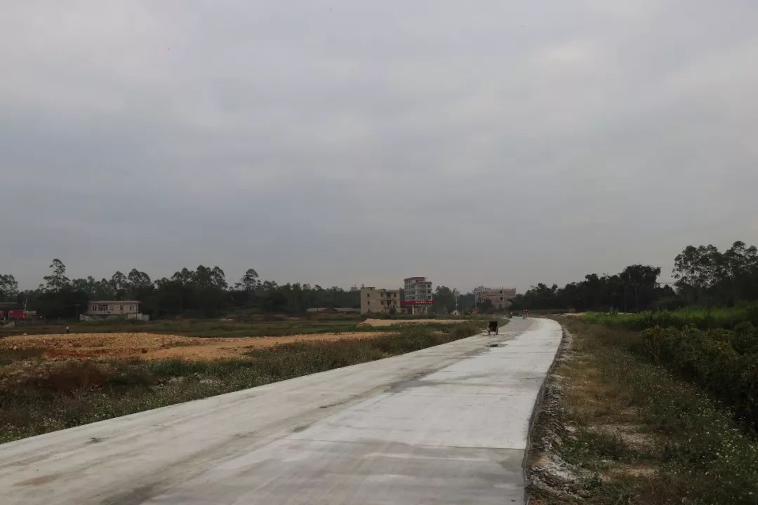 马东公路今天有了大变化了