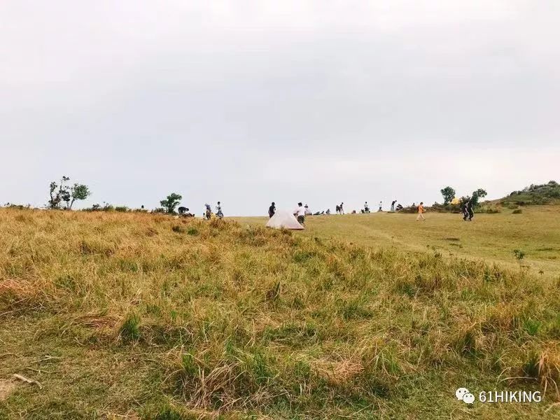 大家依依不捨地離開了昂平,沿著大水井路標下山,路途崎嶇,竹林遮陰