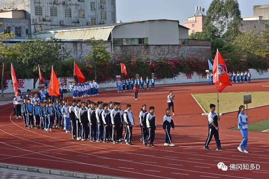 湯塘中心小學民安中學龍山中心小學龍南中學石角中心小學石角中學水頭