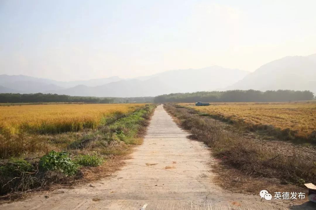 管护英德市土地开发储备局局长曾纪才接受媒体联合采访曾纪才还透露