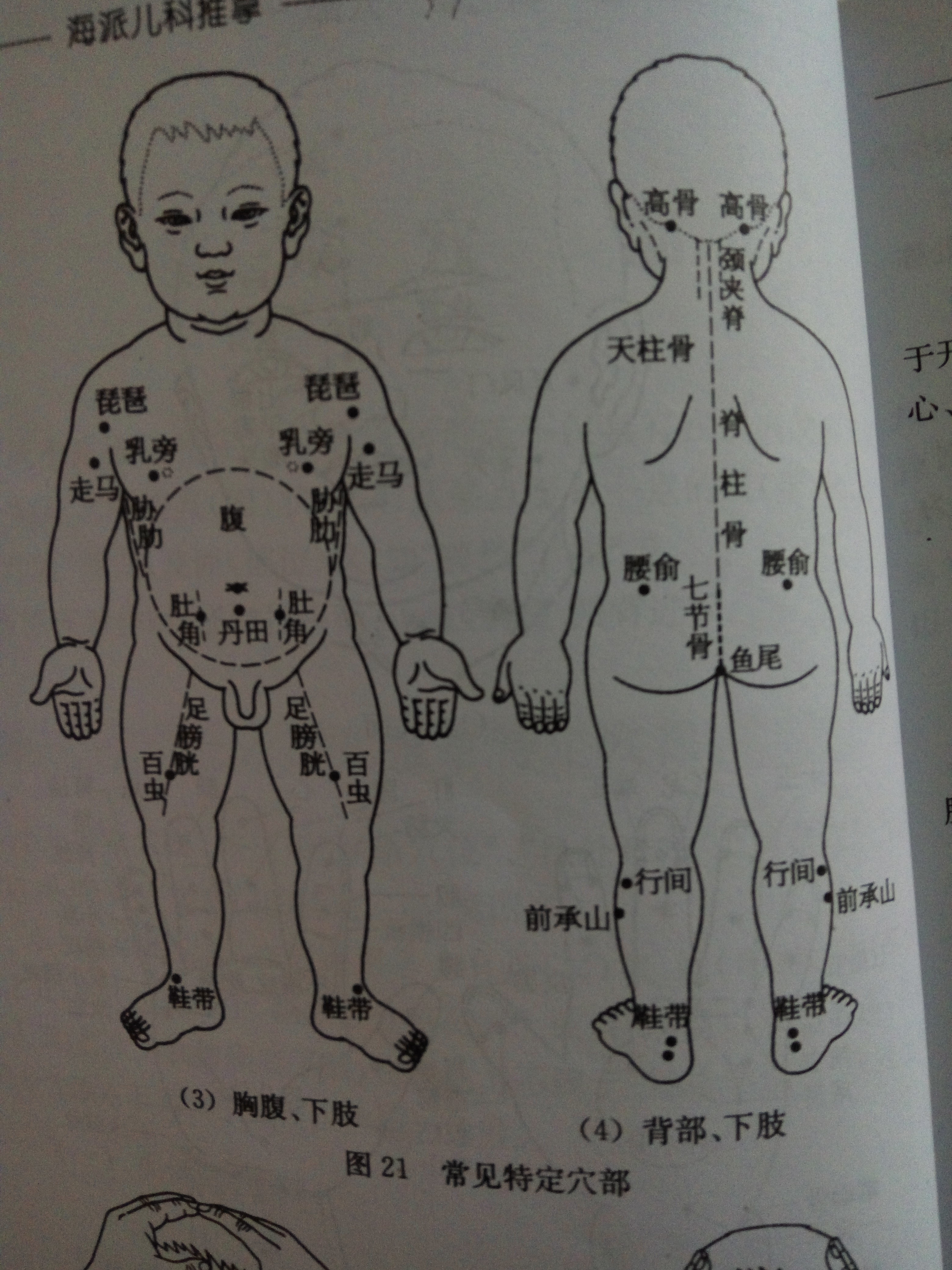 小儿推拿常用穴位图