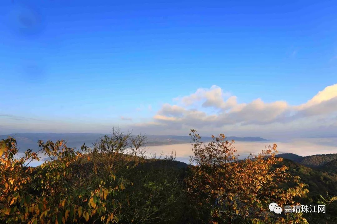 大河白马山位于富源县大河镇,是大河镇海拔最高的一座山,海拔高达2341