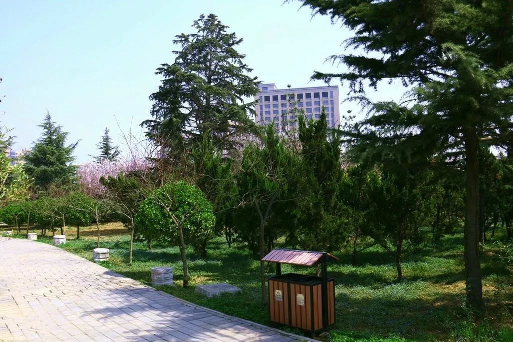 咸陽最美公園評選,快來為你家門口的公園投一票吧!_古渡