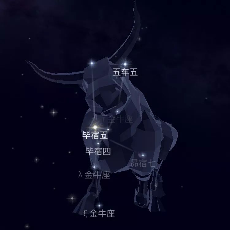 联想而星星点缀其中是一个又一个微小的希望愿黑暗中总有星光洒落愿