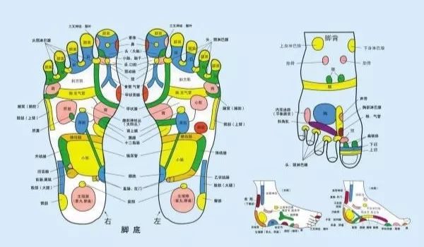 寒從腳底起病從腳底除