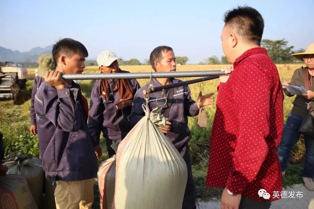 现场称重种植管护种植管护英德市土地开发储备局局长曾纪才接受媒体