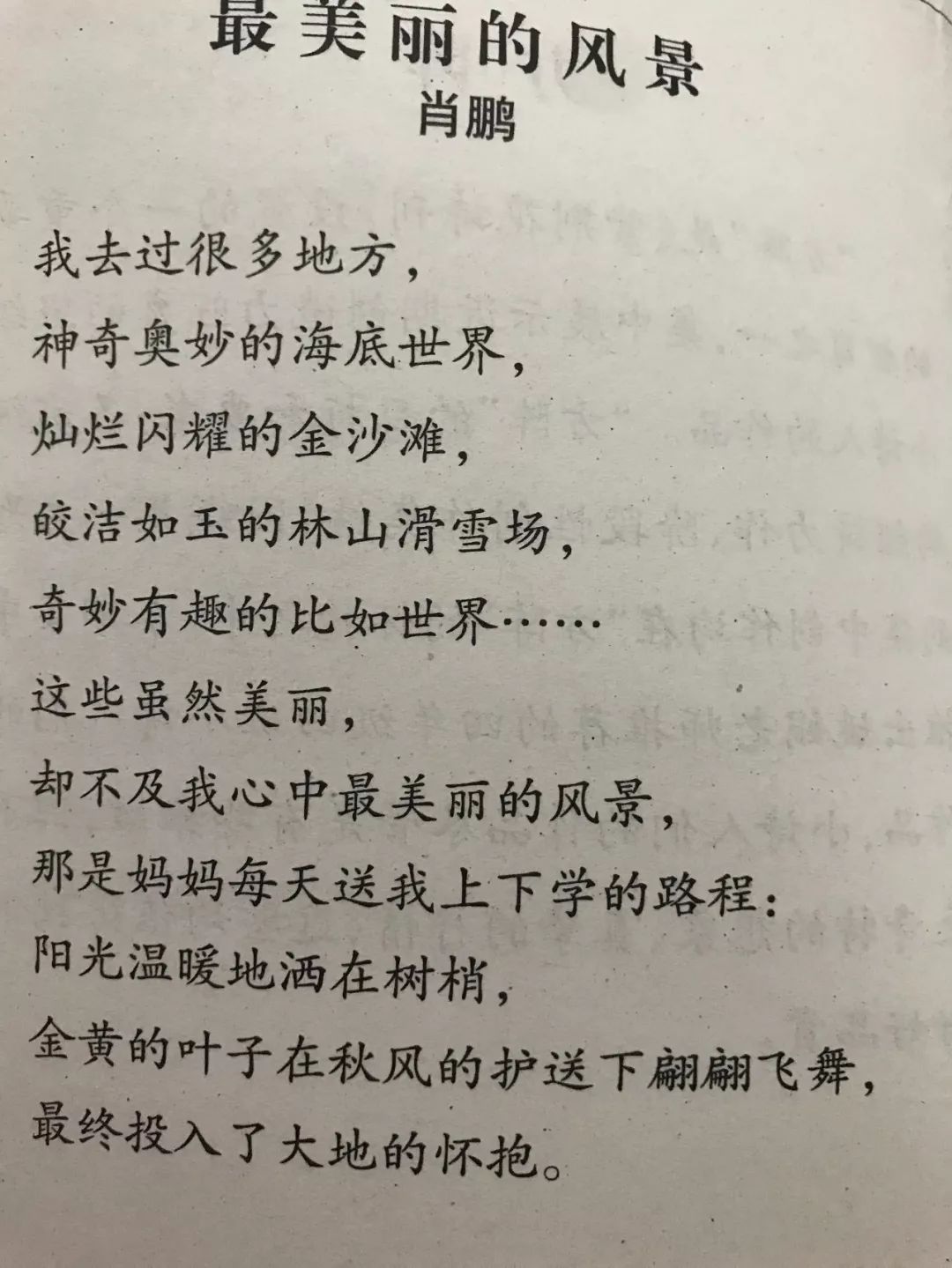 大自然充滿無限幻想陳凱平吳昊王心悅馬易琳孩子們看待世界的眼光略