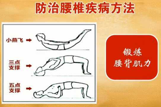 腰肌锻炼方法图解图片