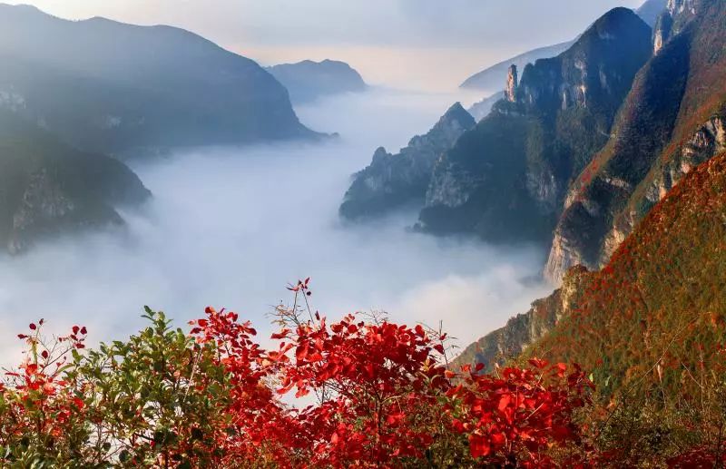 洋氣今年360度環線賞巫山紅葉水陸空立體遊三峽