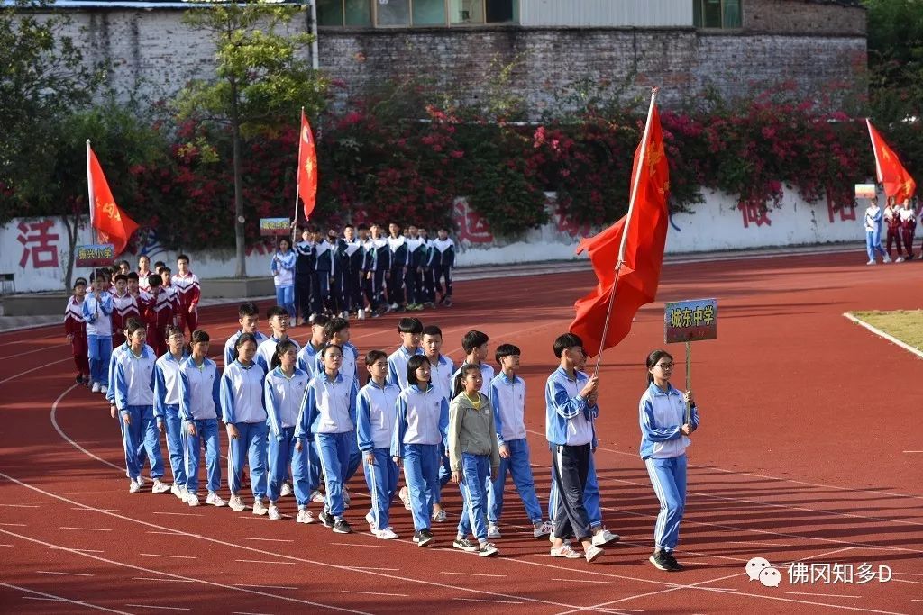 振興小學城北中學佛岡四小四九中學佛岡三小湯塘二中佛岡二小湯塘中學