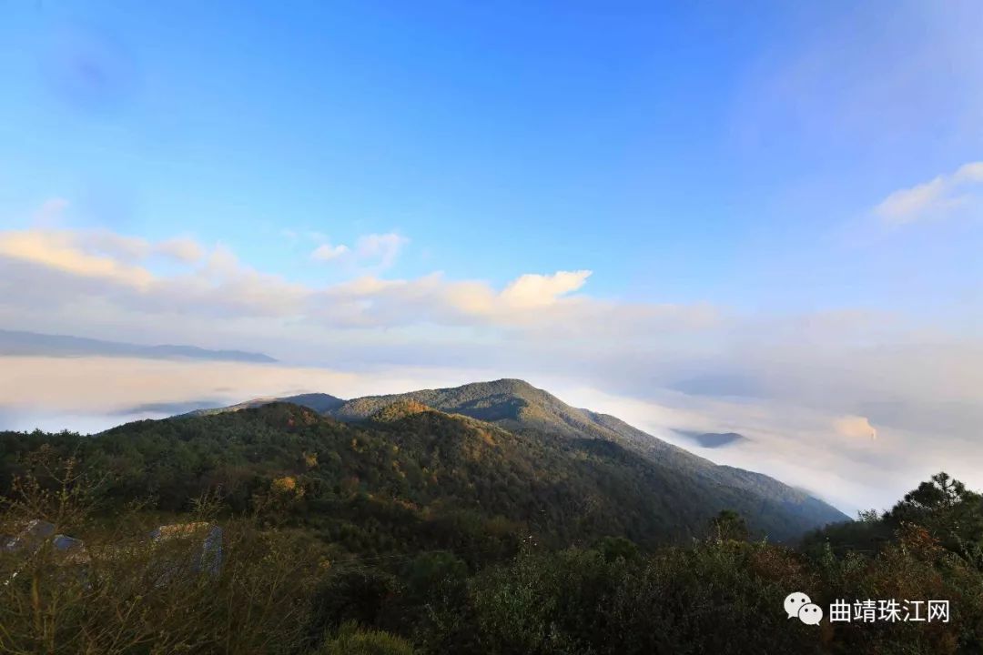 大河白马山位于富源县大河镇,是大河镇海拔最高的一座山,海拔高达2341