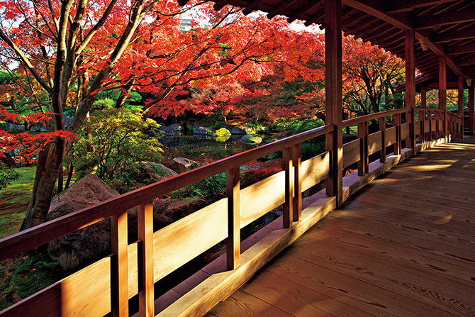 关西攻略红叶景点选京都 大阪 奈良 神户 金泽 三重 美景