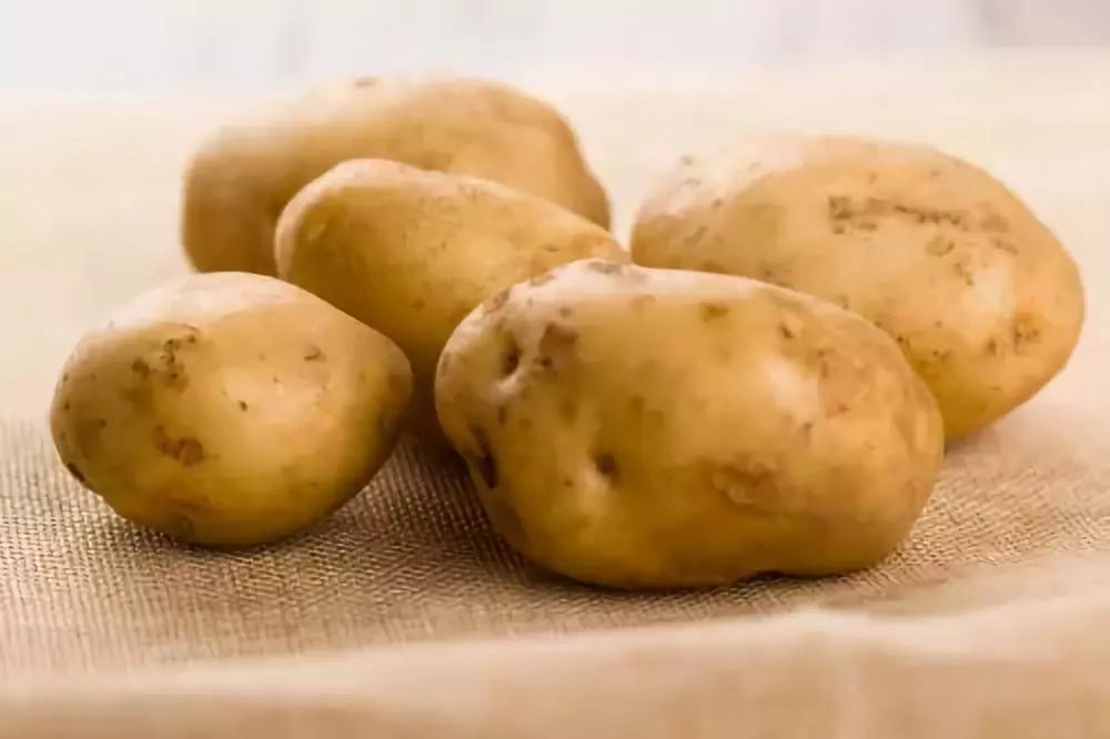 马铃薯如何脱毒来看看马铃薯脱毒方法