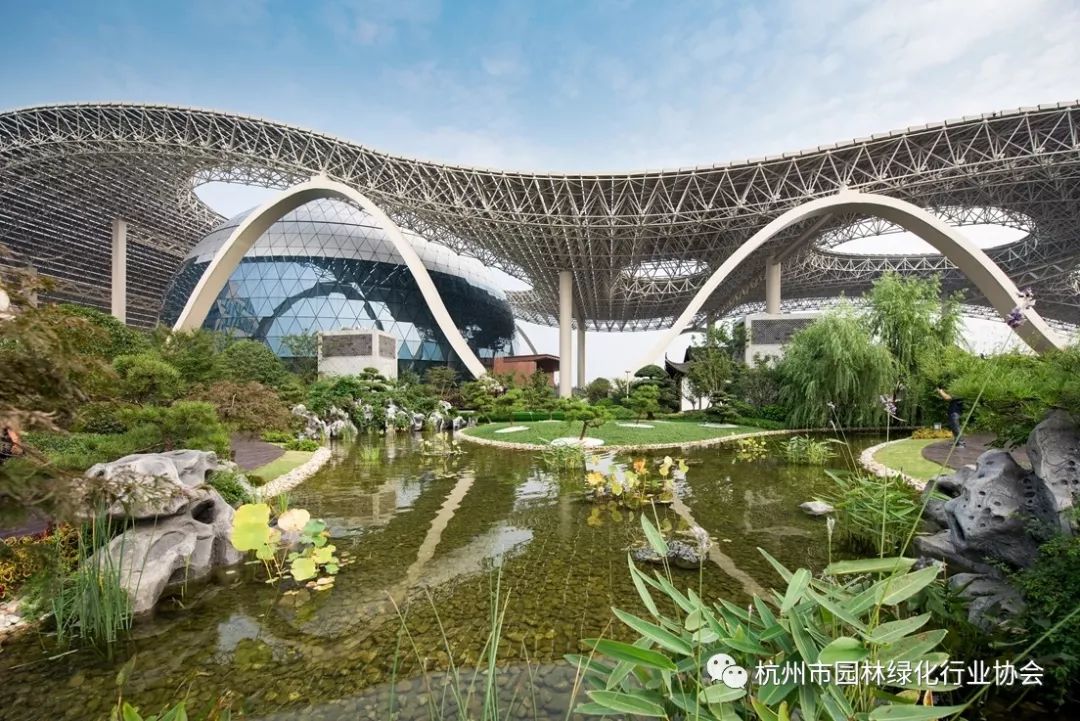 杭州国际园艺中心图片