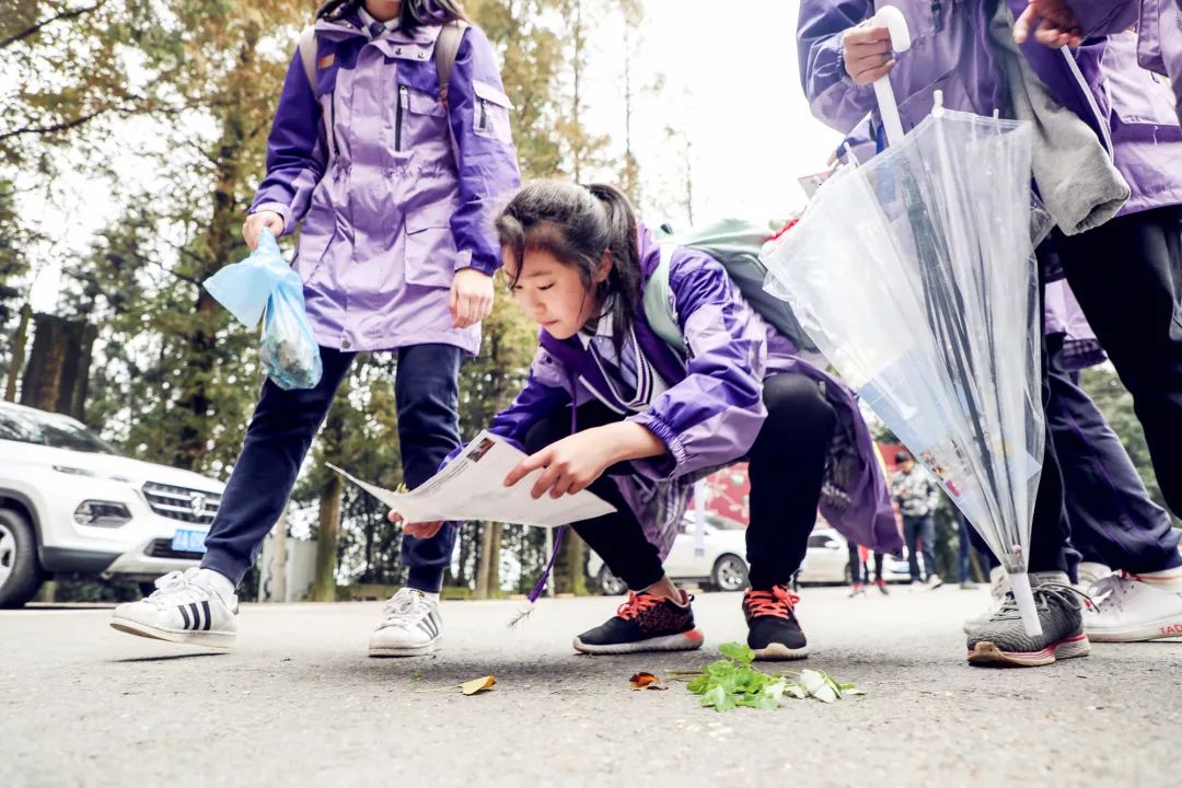 縉雲山美育之旅丨重慶魯能巴蜀中學社會實踐大課堂