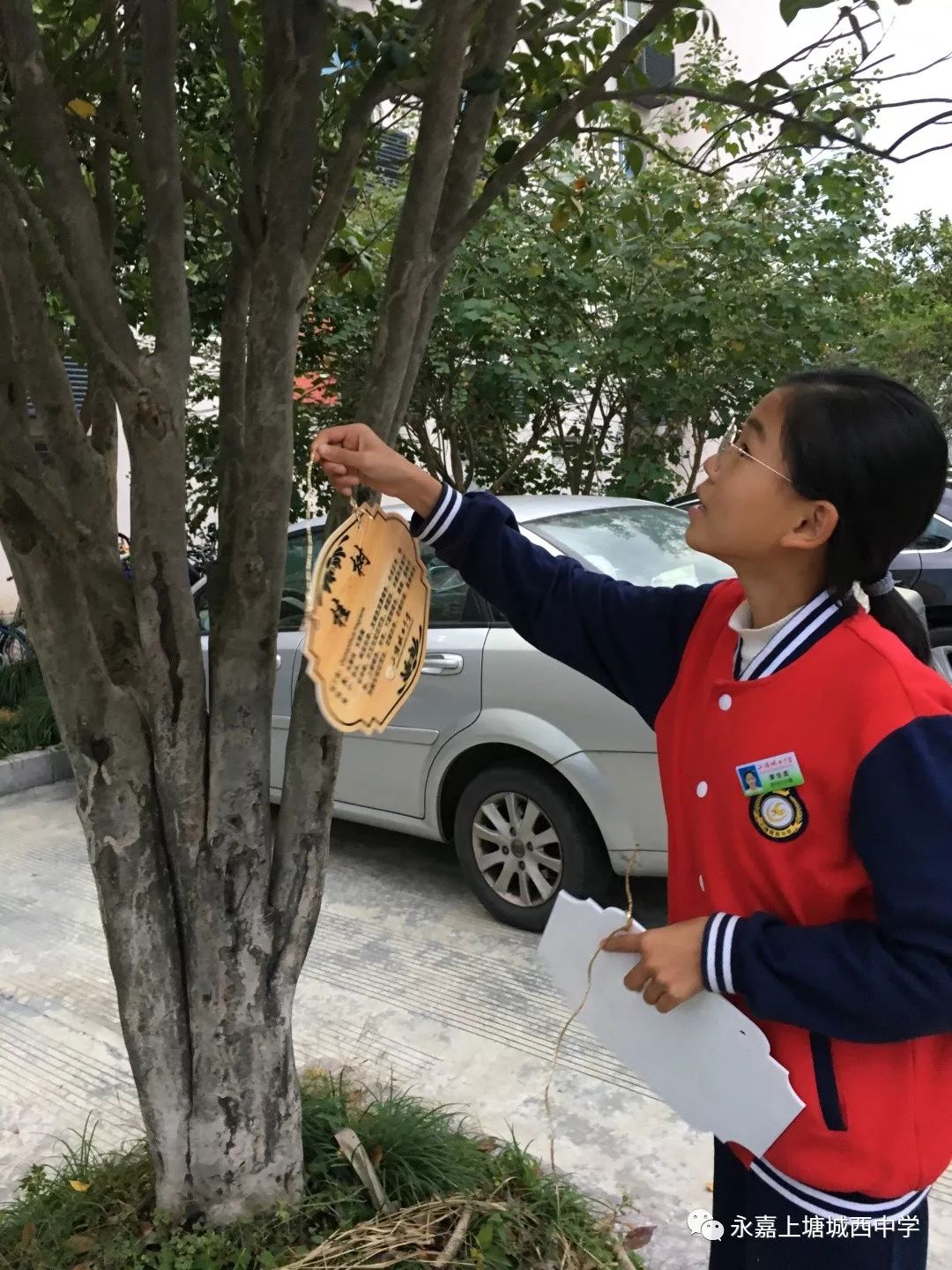 植物有名片認知真方便城西中學七10班學生志願為校園花草樹木掛銘牌