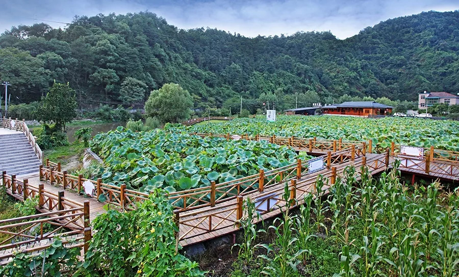 萍乡幕冲生态旅游基地图片