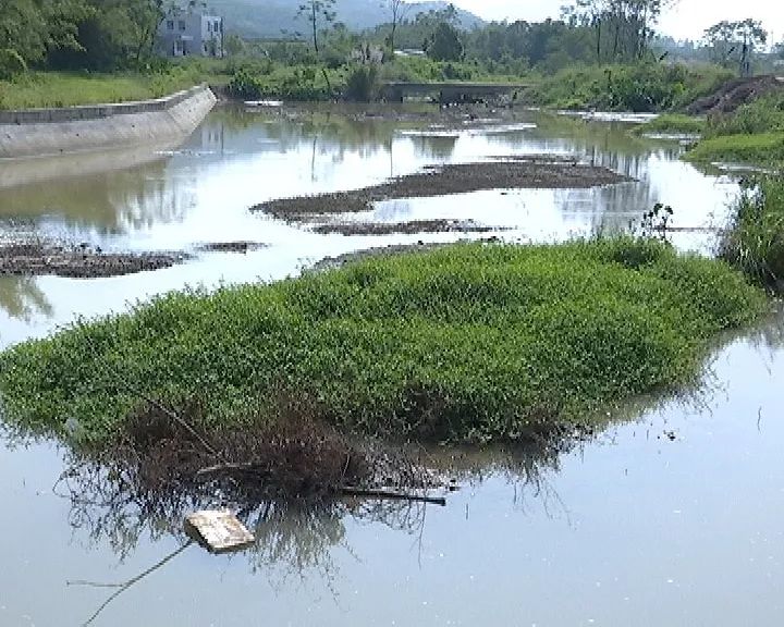 曝光马水罂煲河垃圾充斥河道村民们要改下乱扔垃圾的行为