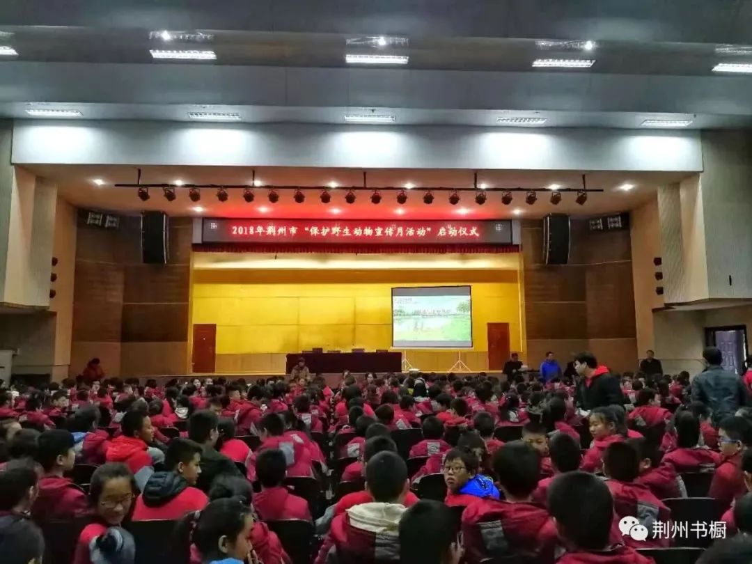 荆州市观鸟协会会员们正在为东方红中学的同学们分发精美的荆州鸟类