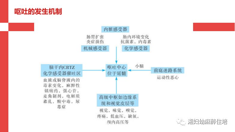 呕吐思维导图图片