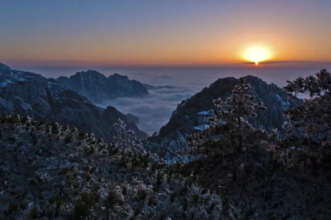 第四天:黃山風景區/嵐之湯早觀日出(酒店附近,視天氣情況而定),經排雲