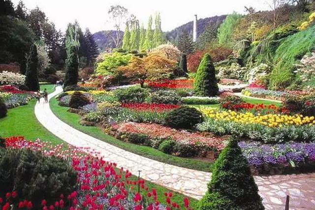 天津美景花园图片