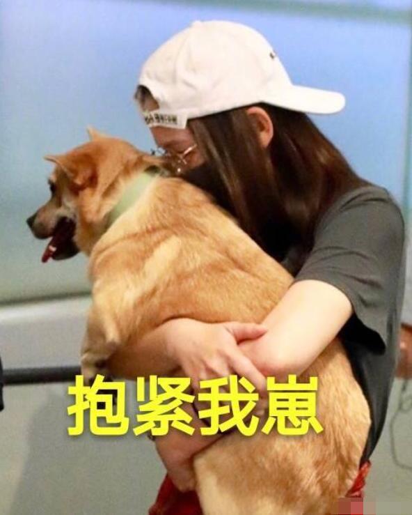 擼狗女神陳喬恩曬出自家田園犬,意外戳中杭州愛狗人士的淚點