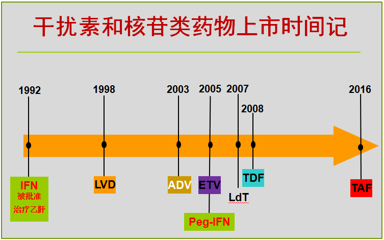 公元1992年干扰素被批准用于治疗慢性乙型肝炎,1998年第一个核苷类似