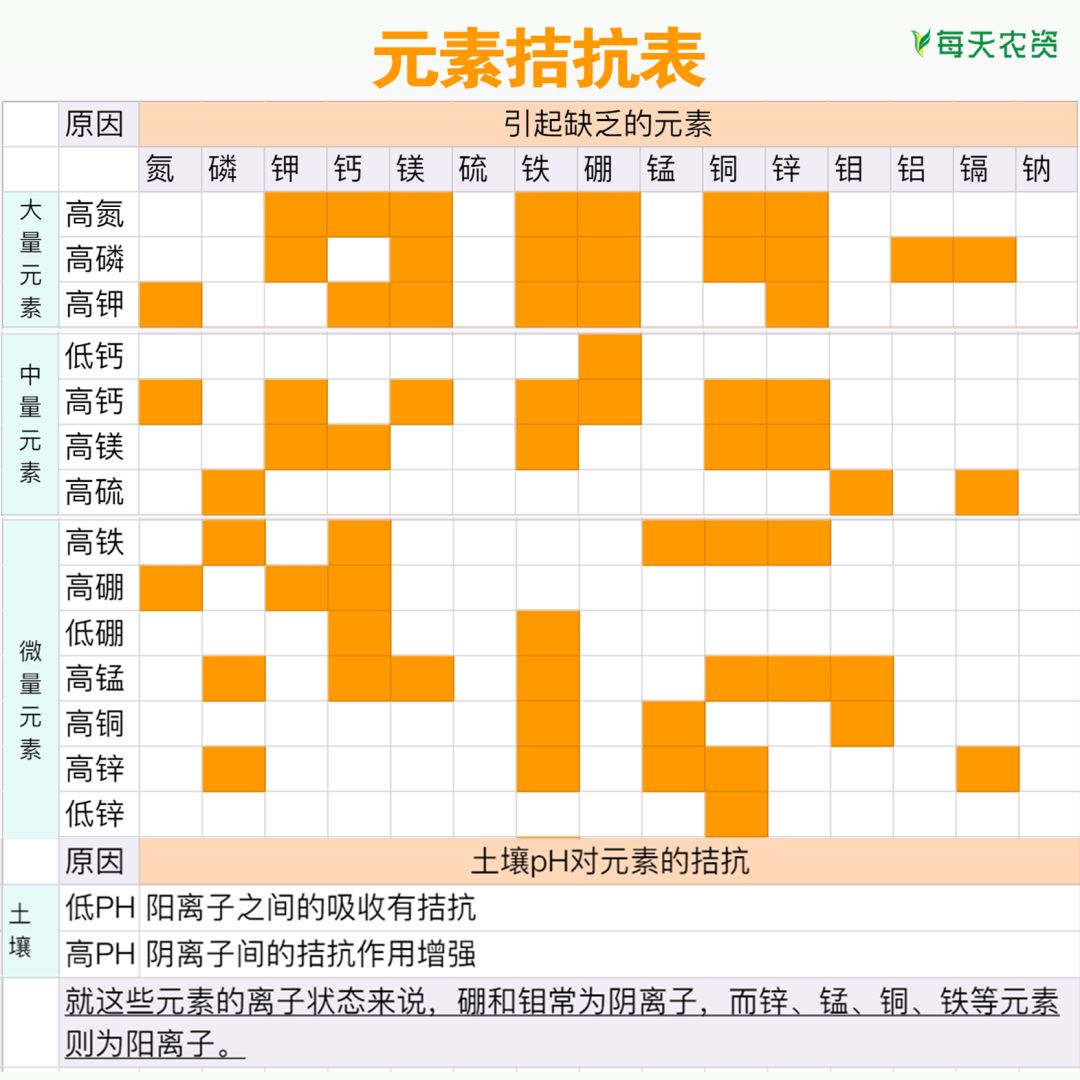 拼命补肥就是不管用 肥料拮抗你看准了吗?