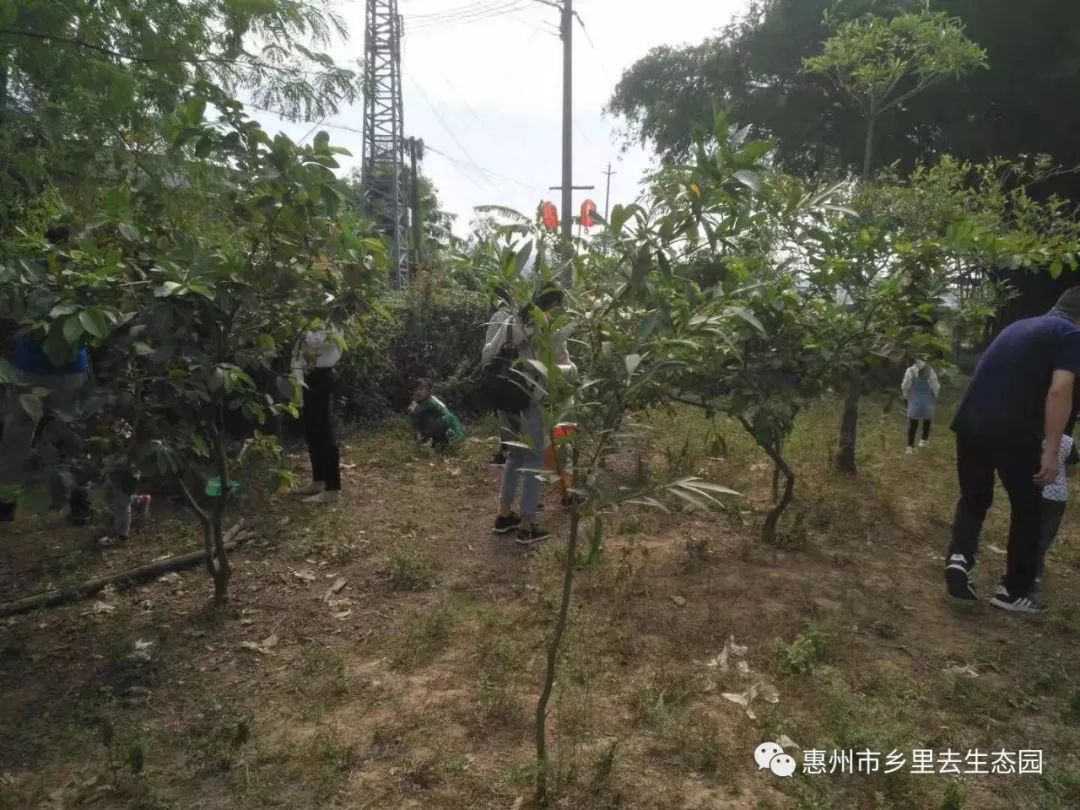 惠州市惠城區文嶺西堤幼兒園2018秋季親子活動