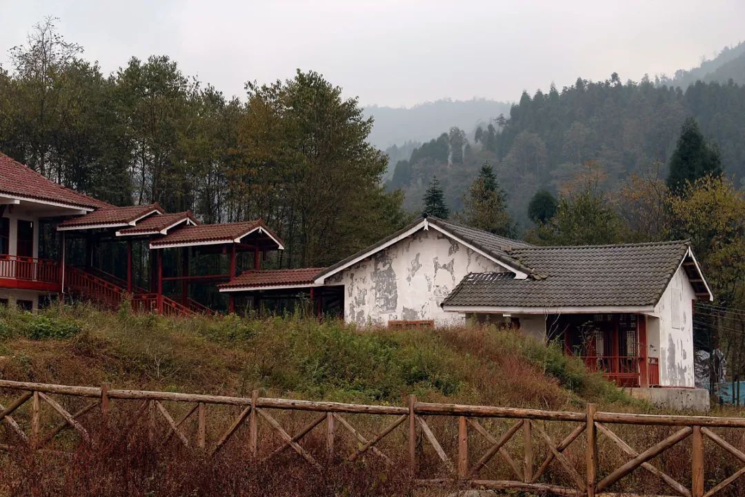 大坪村建筑图片