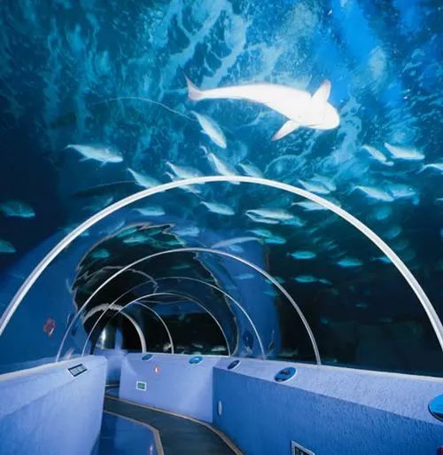 国内海底隧道图片