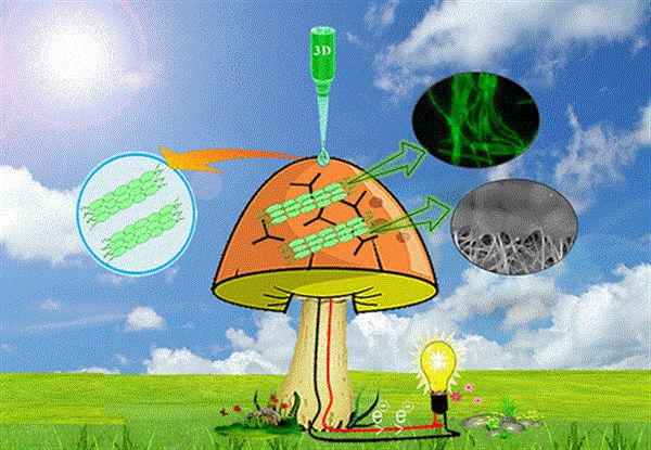 【技術前沿】蘑菇會發電?3d打印藍藻仿生蘑菇釋放生物電