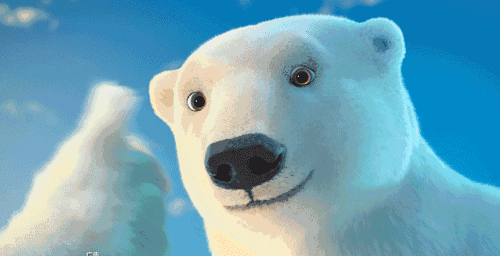 华为北极熊动态壁纸图片