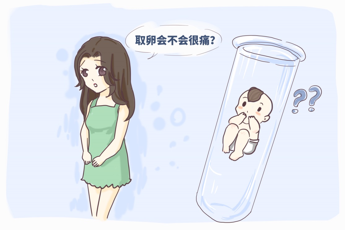 试管婴儿漫画图片