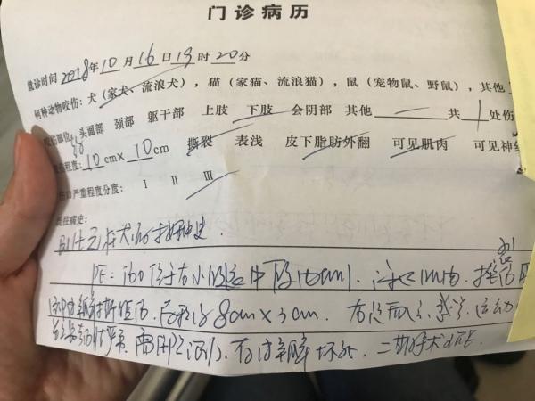 南京女子遭狗咬住院近一月被人办出院手续,狗主人称其想敲诈