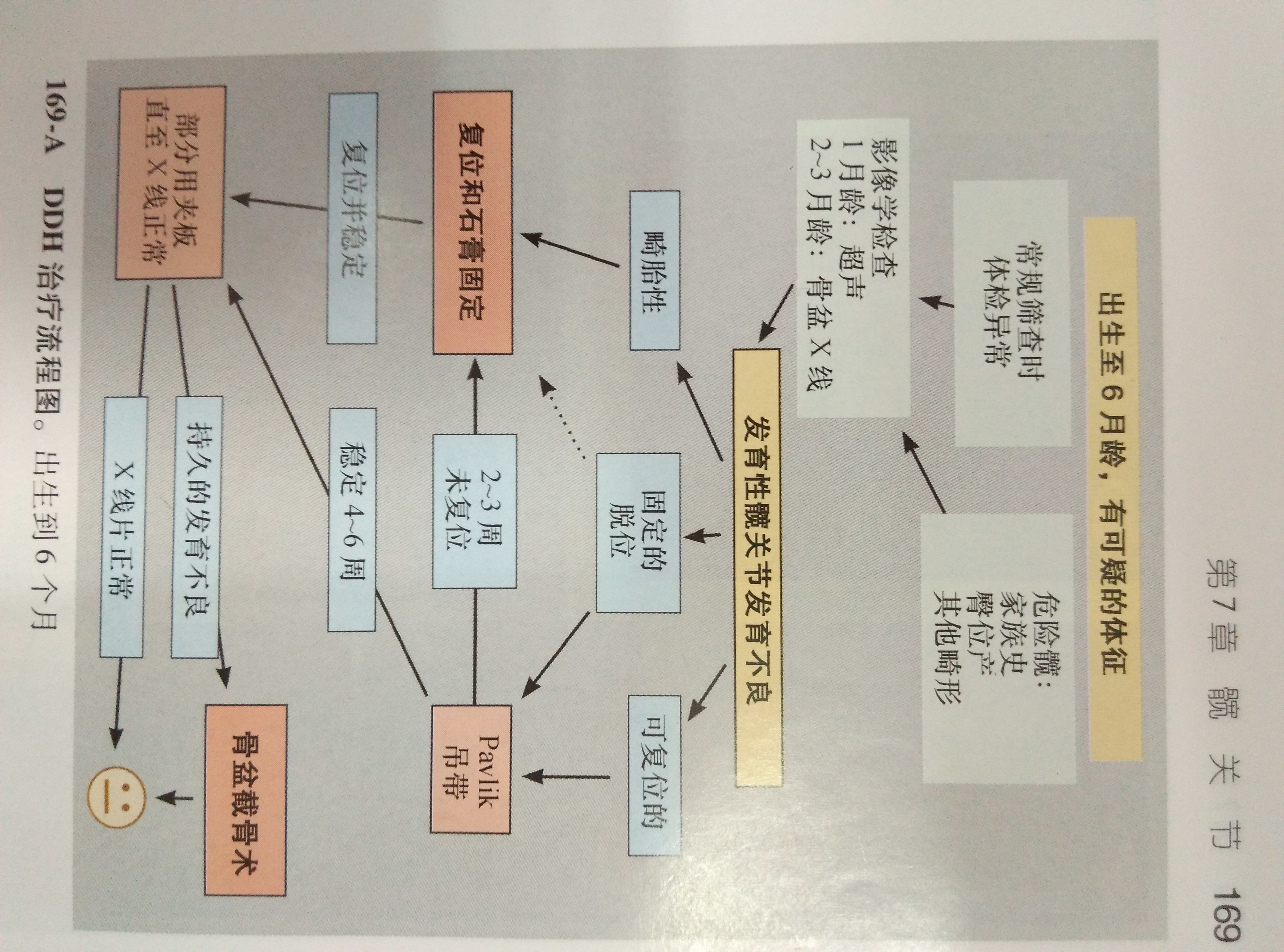 pavlik吊带 使用说明图片