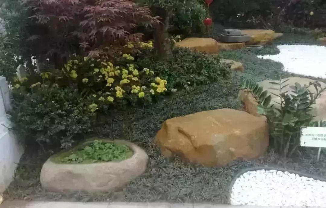 石頭結合植物造景