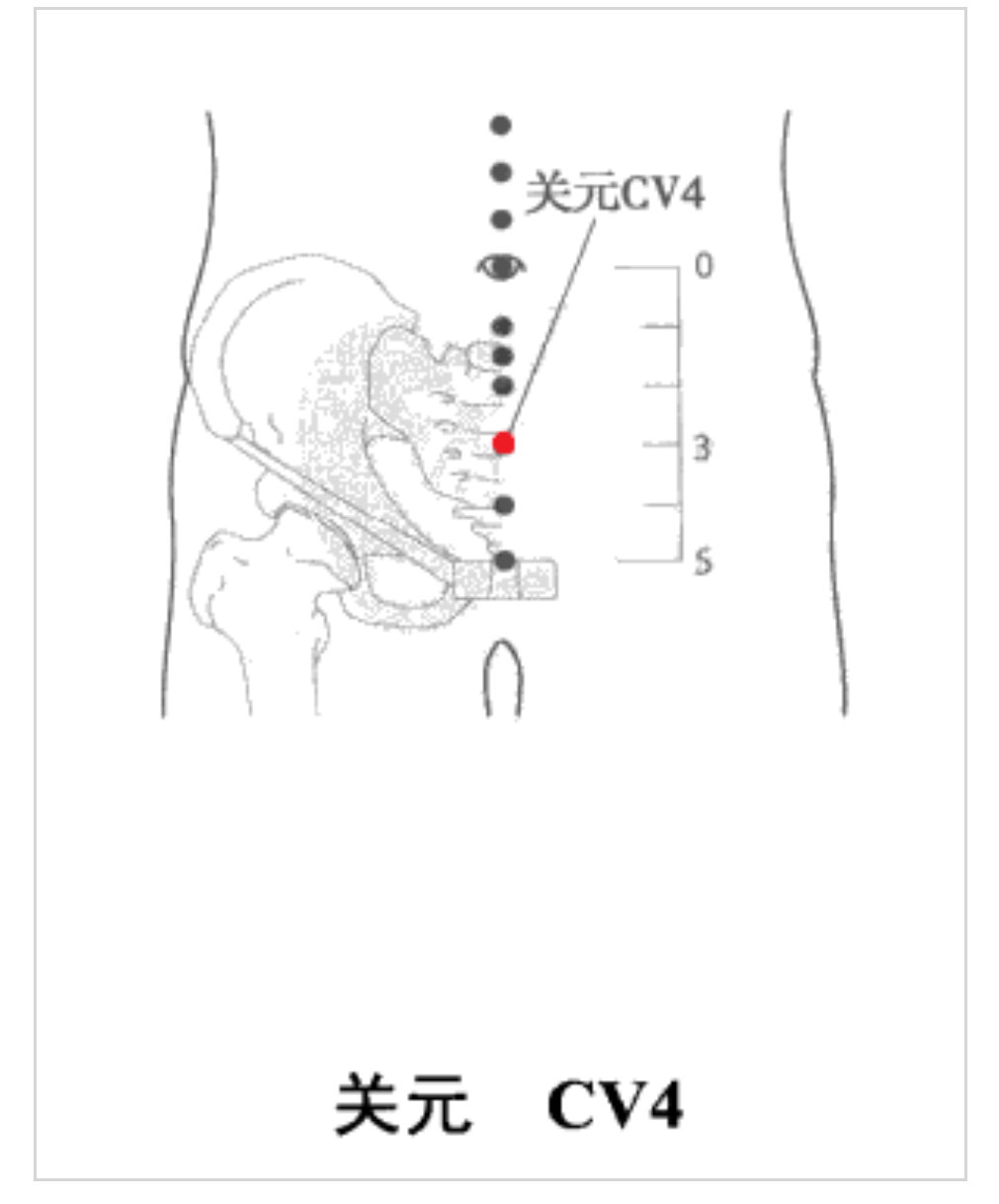 学经络