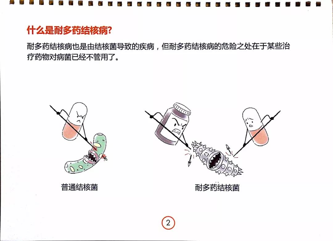 收藏│耐药结核病知识图解