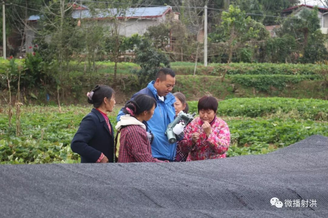 【乡村振兴】变"先天不足"为"后天优势 潼射镇产业引擎推动乡村振兴