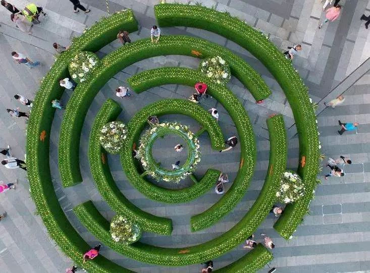 上海金山植物迷宫图片