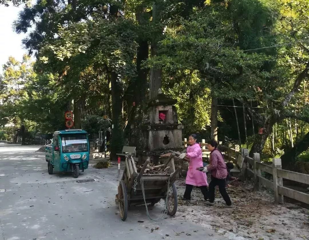 泰顺三魁卢梨村巧用加减乘除法 十里庭院皆画卷