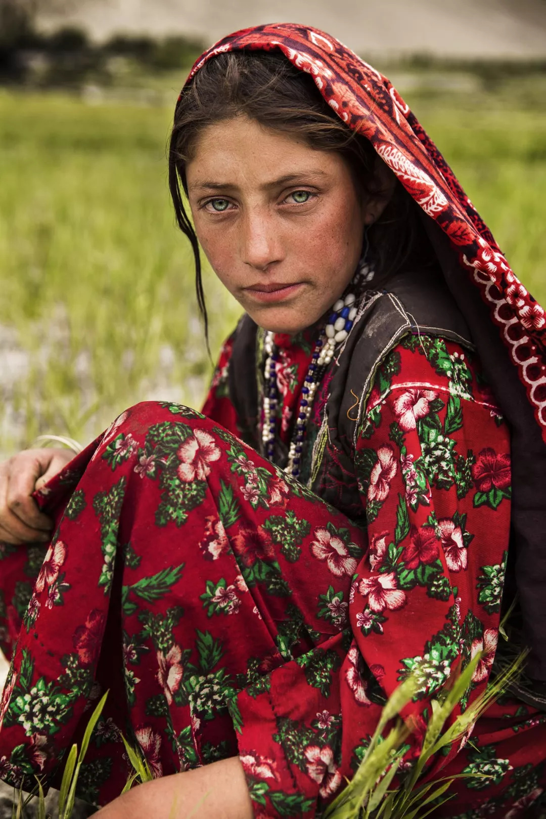 田间的阿富汗少女