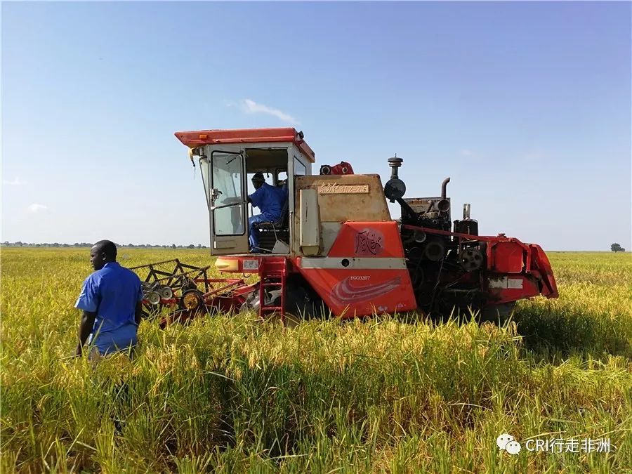 非洲农业发展潜力巨大但需解决一关键问题有例为证