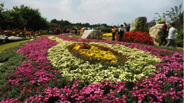 冬季賞花推薦 2018年四川省第三十六期花卉觀賞指數