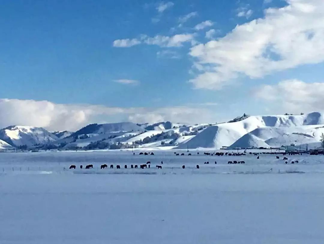 冬季旅游这个冬天又多了一个好玩的地中国那拉提2019冰雪旅游文化节