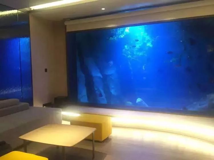 上海深坑酒店全部房型首次披露在鱼群包围中入睡这种感觉